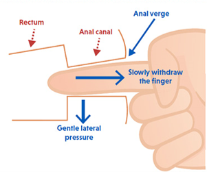 L001 Leaflet Image.png